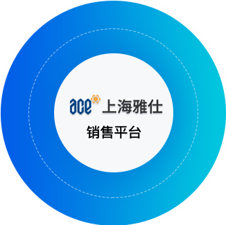 上海雅仕供应链